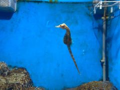 -福州罗源湾海洋世界旅游区