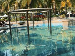 -三亚海棠湾喜来登度假酒店