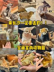 -Zoolung Zoolung动物主题公园(海信广场店)