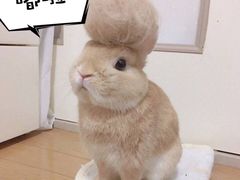 -帝京日语(春熙路旗舰校区)