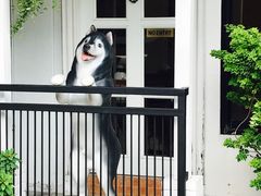 -TrueLove @ Neverland (Husky Cafe)