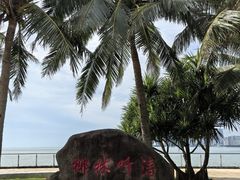-万绿园