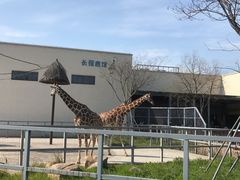 -上方山森林动物世界