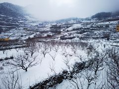 -太子岭滑雪场