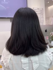 -YESIDO椰岛造型