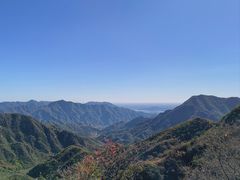-大岭沟猕猴桃谷风景区