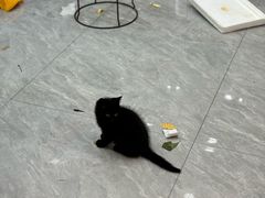 -象山小白象海鲜面