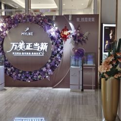 -深圳美莱医疗美容医院