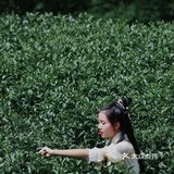 小众宝藏旅游胜地——云浮翔顺象窝山生态园