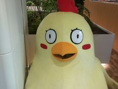 -椰子营·椰子鸡火锅(万象里店)