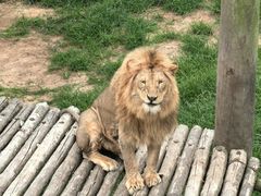 -西霞口神雕山野生动物世界