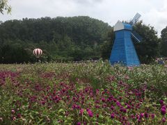 -南沙蒲洲花园