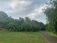 -张坝桂圆林公园