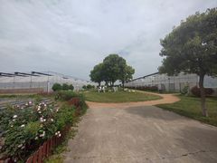 -上膳源有机农场