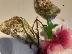生蚝-蜀食火火锅自助(千鑫美食林店)