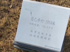 -滨江生态公园