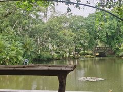 -中国科学院西双版纳热带植物园