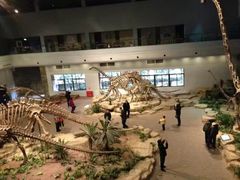 -自贡恐龙博物馆