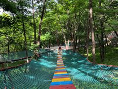 -原山国家森林公园