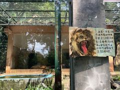 -柳州市动物园