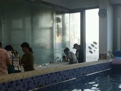 -小小王国亲子游泳俱乐部(锦辉中心)