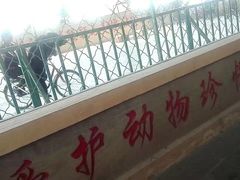 -东方熊牧场