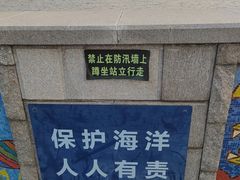 -奉贤海滩