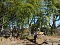 -名古屋城