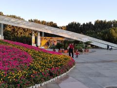 -二一九公园