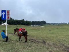 -玉舍国家森林公园