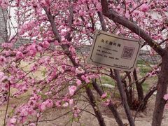 -河间府署