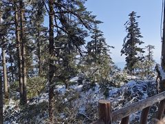 -瓦屋山景区