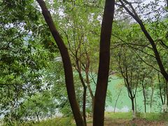 -广州白江湖森林公园