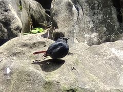 -华蓥山天意谷景区