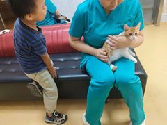 -瑞派天宁宠物医院·猫科·异宠中心