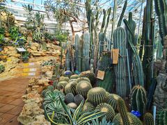 -国家植物园南园