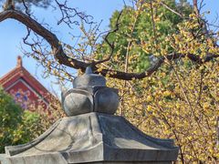 -开福禅寺
