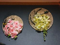 -唯伊美塑身美养连锁