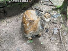 -昆明青龙峡风景区