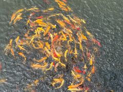 -沂蒙云瀑洞天景区