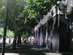 -【朵云轩艺术中心】博洛尼亚插画展·中国巡展·上海站