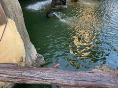 -海南槟榔谷黎苗文化旅游区