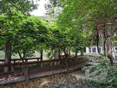 -陕西师范大学(雁塔校区)