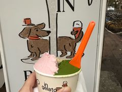 -Dip in Gelato(富民路店)