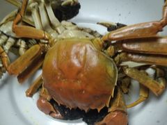 -韩家墅海吉星农产品批发市场