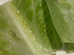 -合肥辰茂和平酒店·茂餐厅