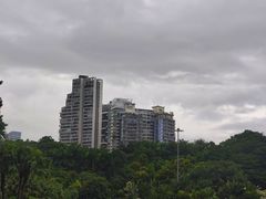 -深圳国际园林花卉博览园