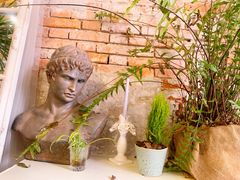 -Jo's Garden