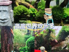 -重庆欢乐海底世界