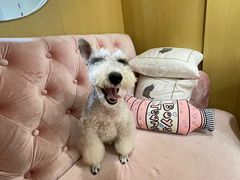 -Double Rui宠物酒店
